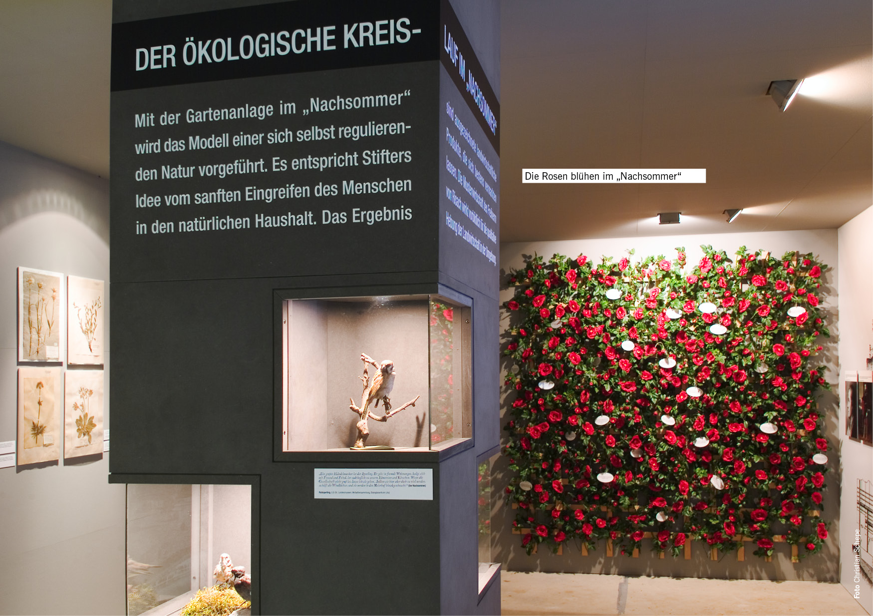 KOG_03_kunst_oder_gestaltung_stifter06 jpg