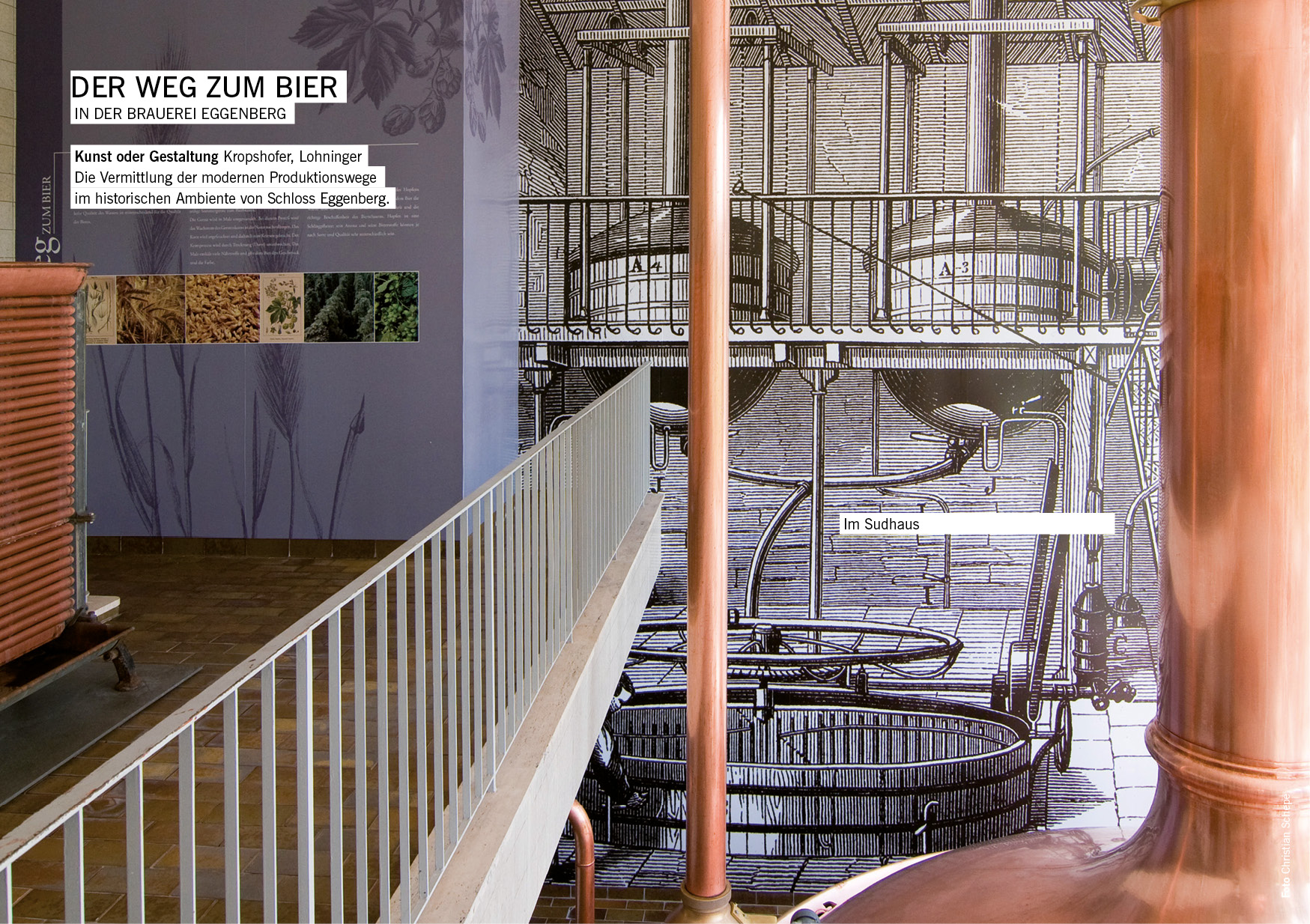 KOG_05_eggenberger01 jpg