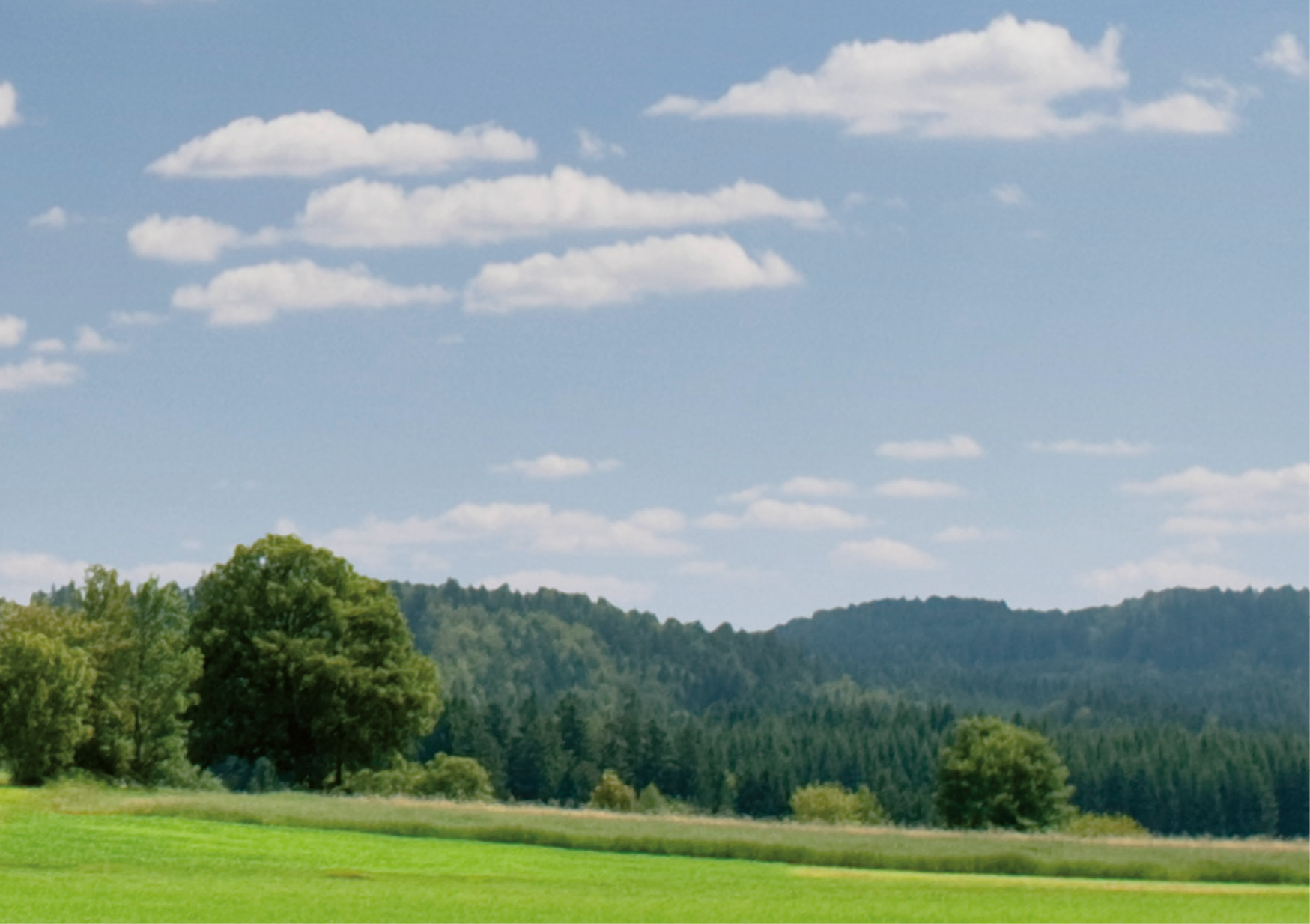 KOG_14_oswald_himmel06 jpg