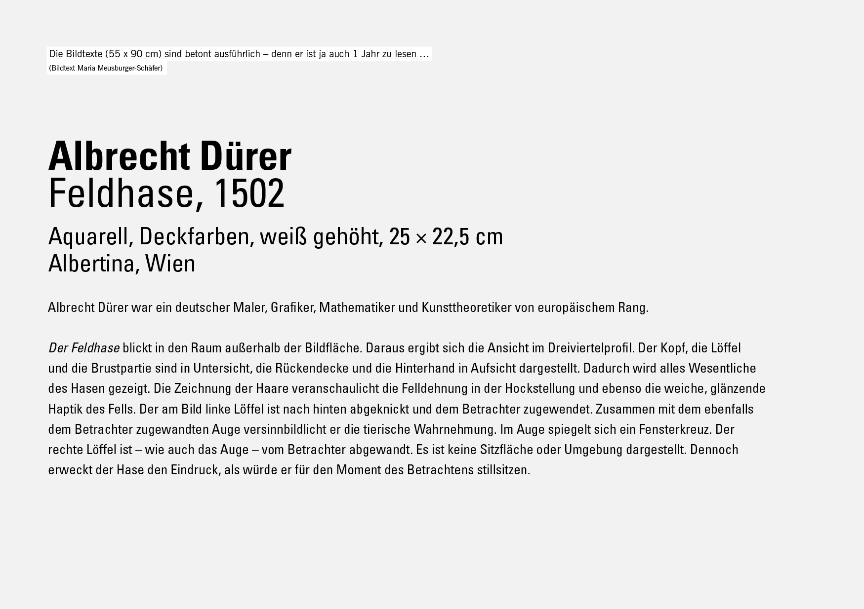 KOG_17_liebenau_kunstausflug06 jpg