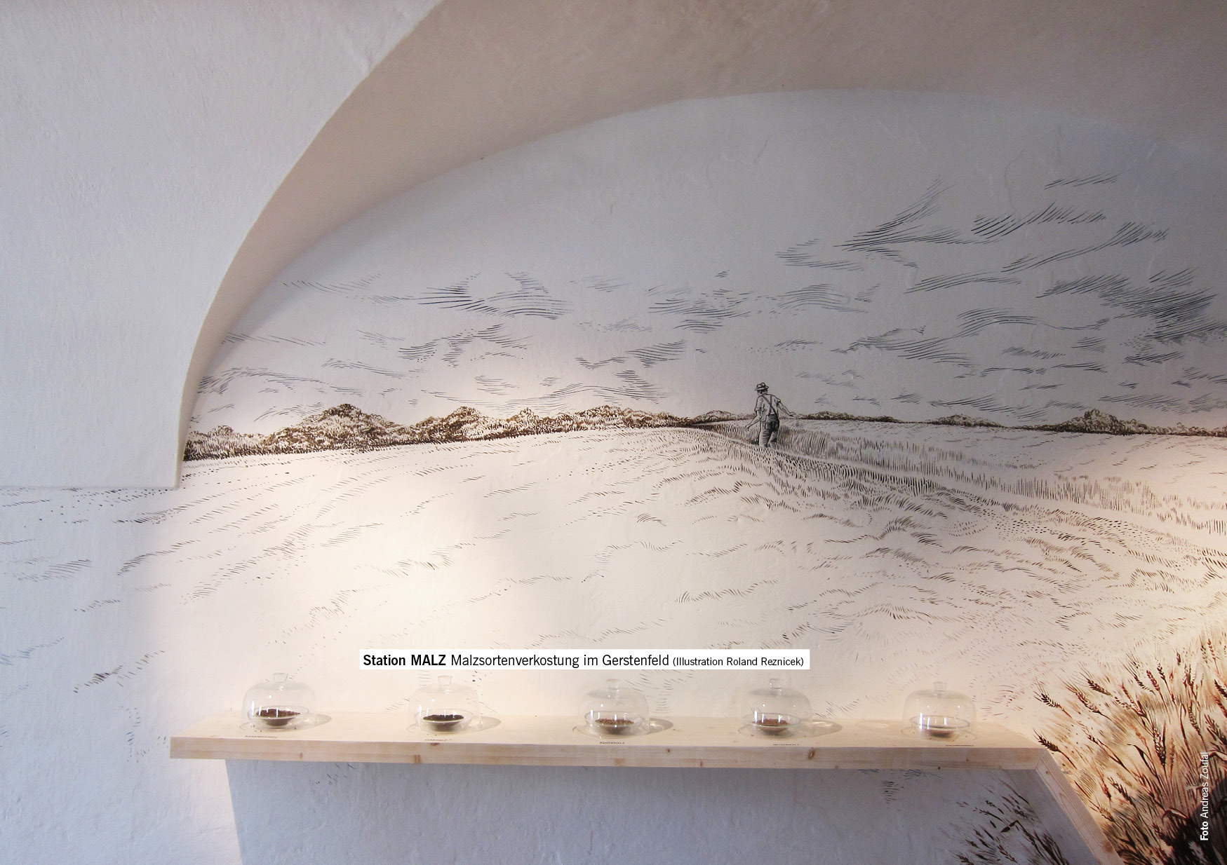 KOG_25_freistadt_biererlebnis04 jpg