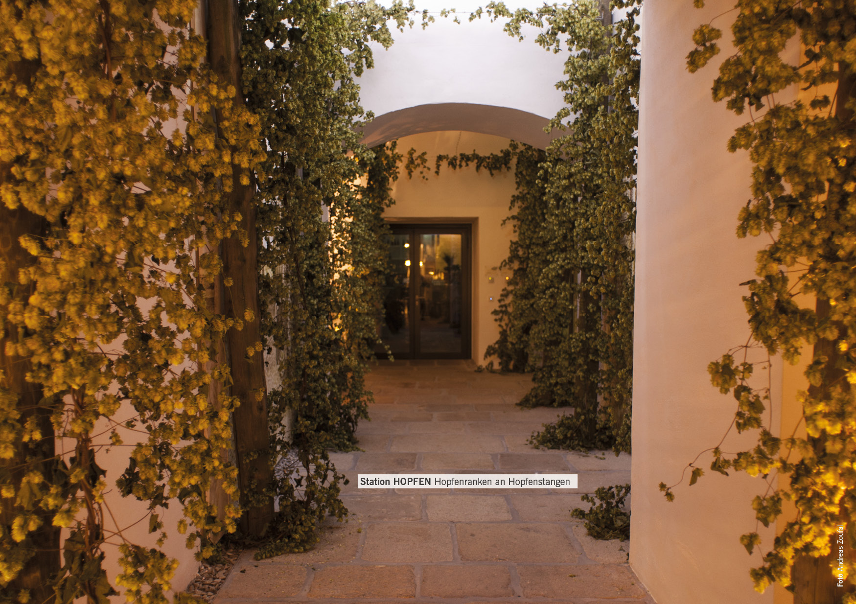 KOG_25_freistadt_biererlebnis07 jpg