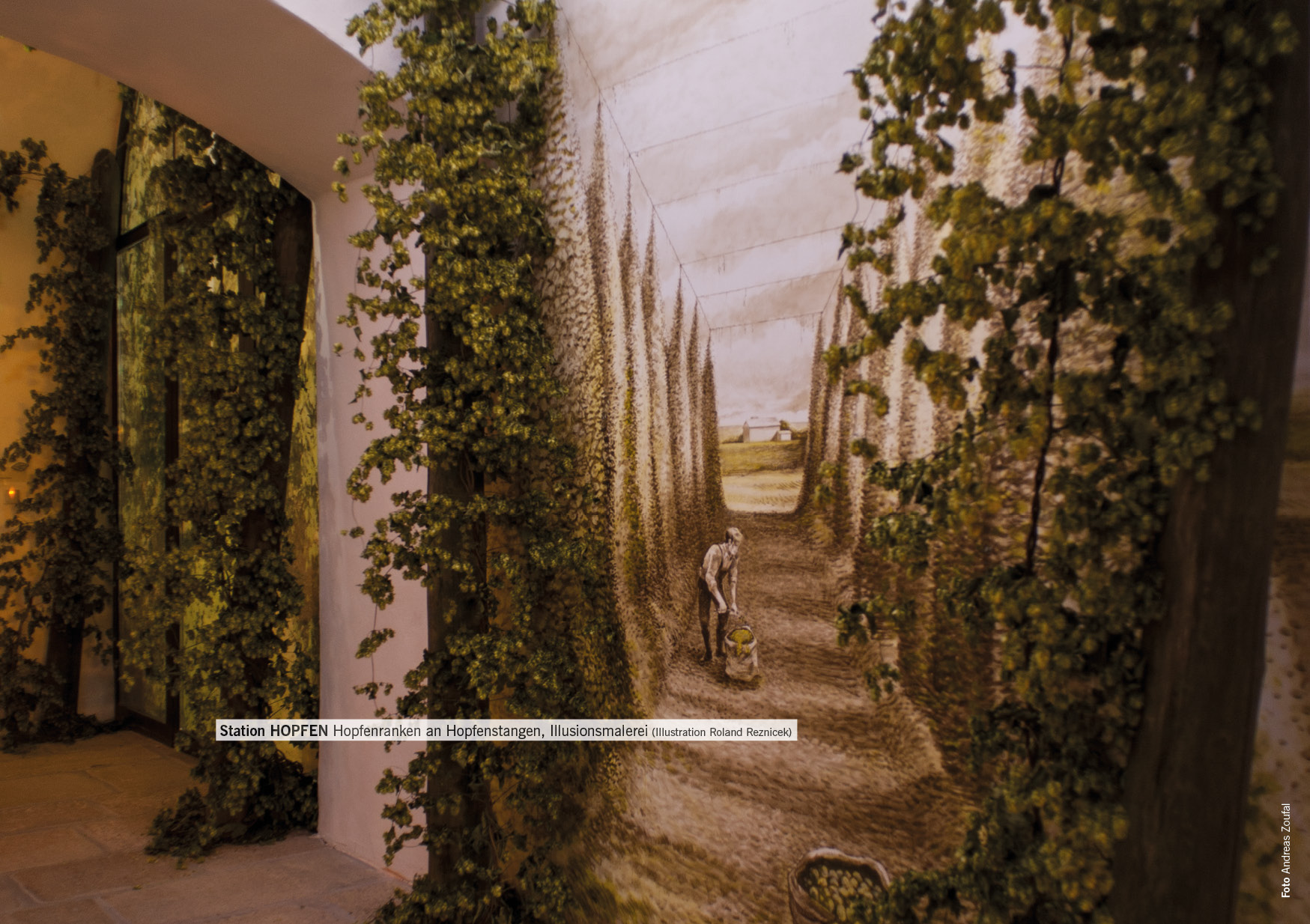 KOG_25_freistadt_biererlebnis08 jpg