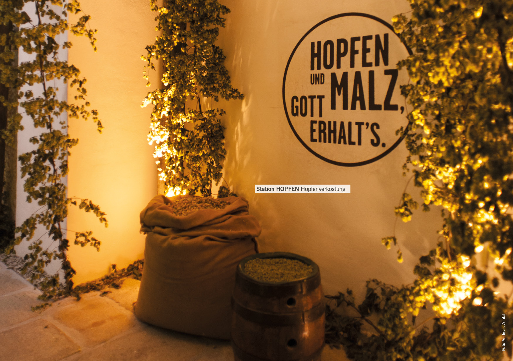 KOG_25_freistadt_biererlebnis09 jpg