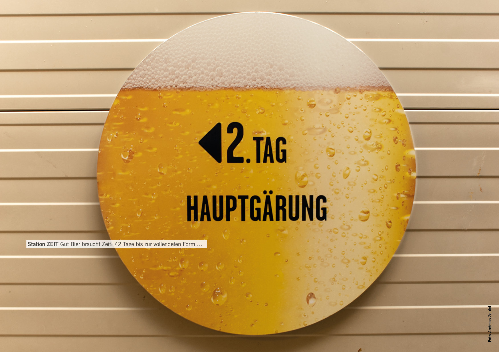 KOG_25_freistadt_biererlebnis15 jpg