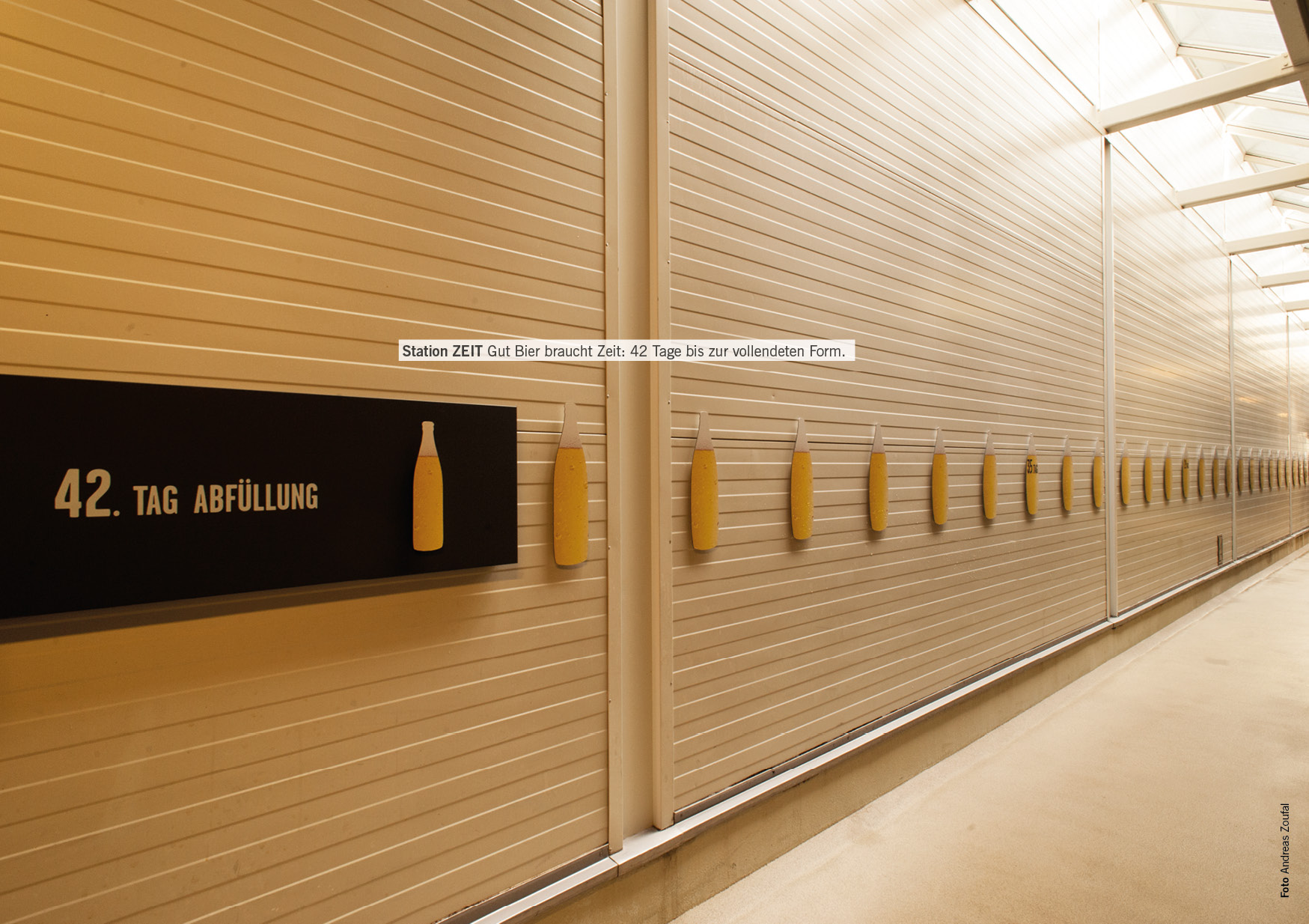 KOG_25_freistadt_biererlebnis18 jpg