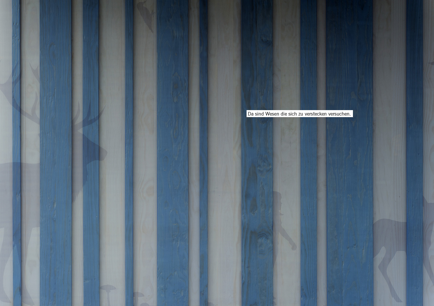 KOG_31__ANDERSWALD2 jpg